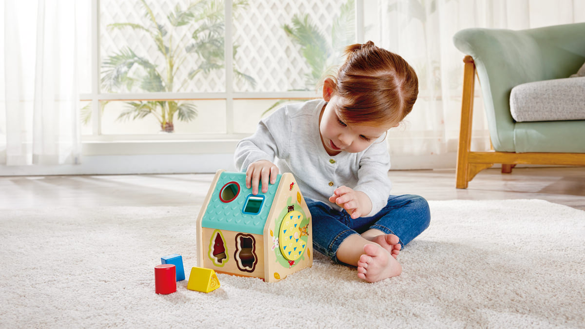 Hape educational toys online